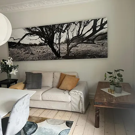 Apartment Boutique-aalborg-free Parking - Citycenter *